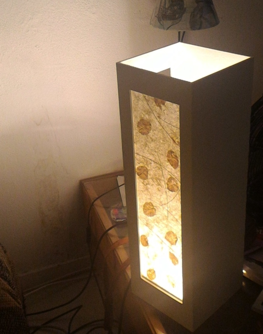 Lampe en bois avec cadre d ambiance amovible P 20170906 213922 004.jpg